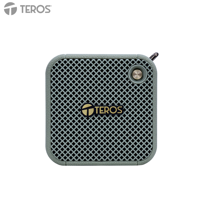 Parlante Inalámbrico Teros Legacy Leg-6051Gr, BT 5.3, 8W, 1500 Mah, Usbestilo Re