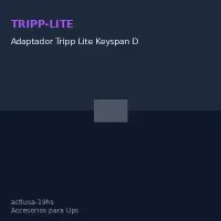 Adaptador Tripp Lite Keyspan De USB De Alta Velocidad A Serial