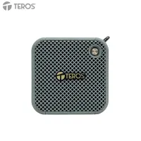 Parlante Inalámbrico Teros Legacy Leg-6051Gr, BT 5.3, 8W, 1500 Mah, Usbestilo Re