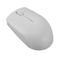 Mouse Inalambrico Compacto Lenovo 300, Color Grisartico.conectividad: Receptor I